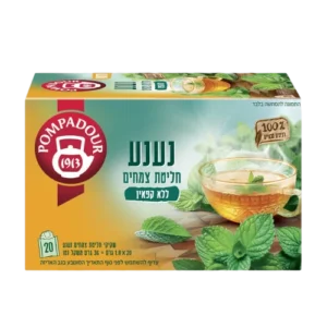 פומפדור חליטת נענע