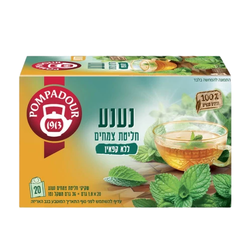 פומפדור חליטת נענע