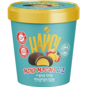 פיינט מנגו שוקולד