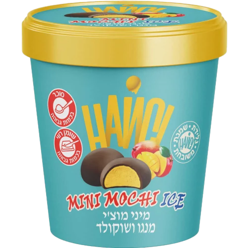 פיינט מנגו שוקולד