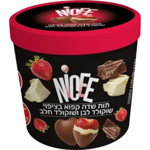 תות שדה קפוא בציפוי שוקולד