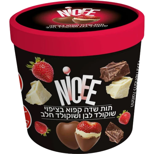 תות שדה קפוא בציפוי שוקולד