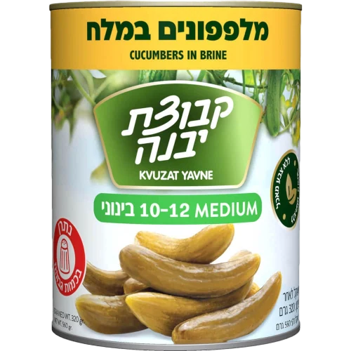 מלפפון מלח 10-12