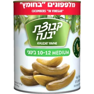 מלפפון בחומץ 10-12
