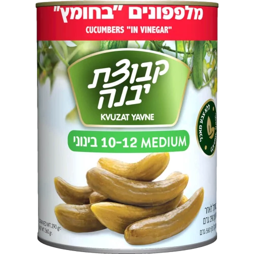 מלפפון בחומץ 10-12