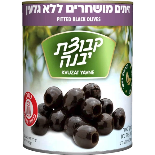 חרוזית שחור - יבנה