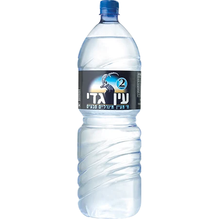 מים עין גדי בודד