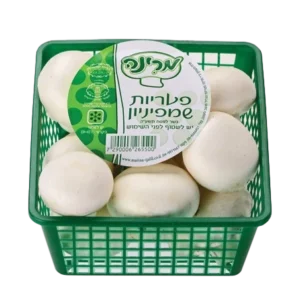 פטריות שמפיניון