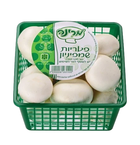 פטריות שמפיניון