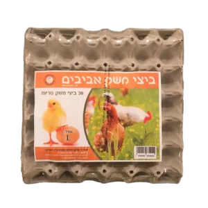 בצים מארז 12 יח