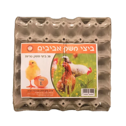 בצים מארז 12 יח