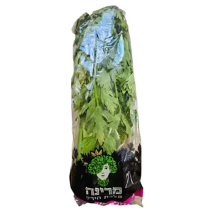 סלרי עלים ארוז