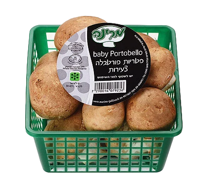 פטריות פורטובלה