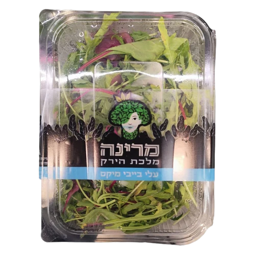 בייבי מיקס