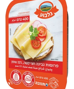גבינה צהובה גלבוע 22% שומן 400 גרם