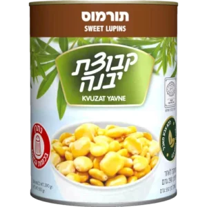 תורמוס יבנה