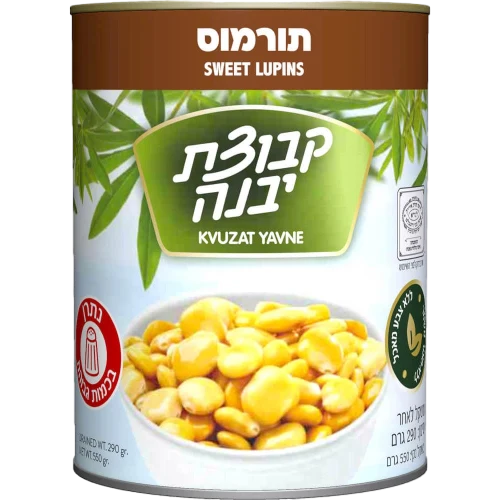 תורמוס יבנה