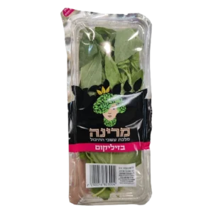 בזיליקום
