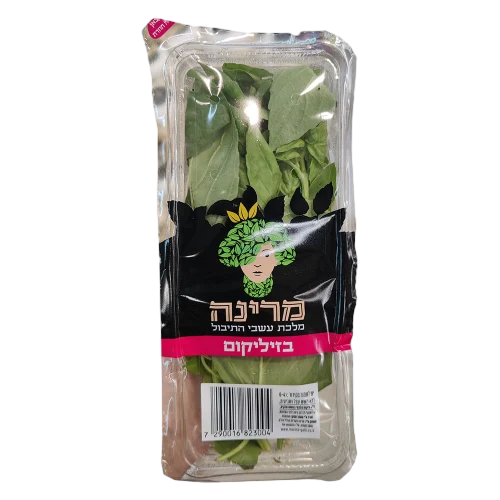 בזיליקום