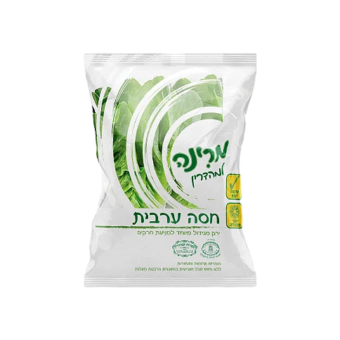 חסה ערבית