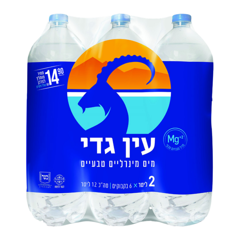 עין גדי שישייה