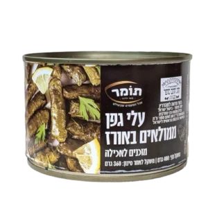תומר עלי גפן