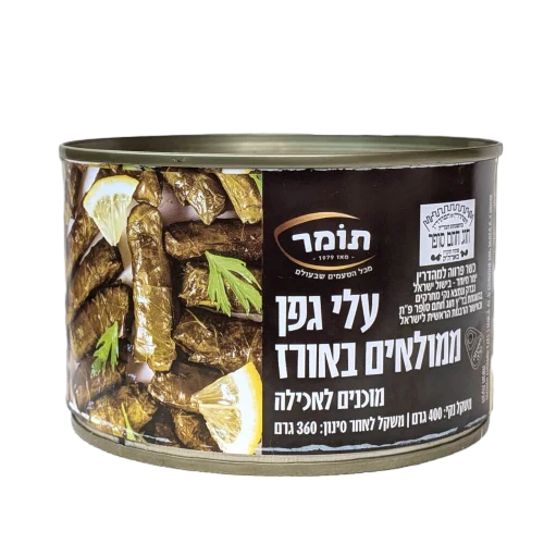 תומר עלי גפן