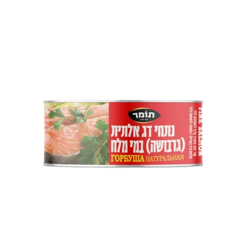 תומר אלתית במי מלח
