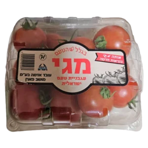 עגבניות מגי