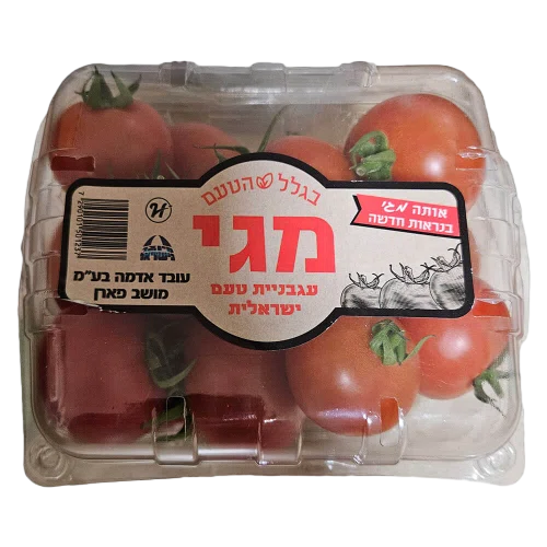 עגבניות מגי