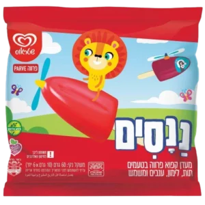 מטוסי על