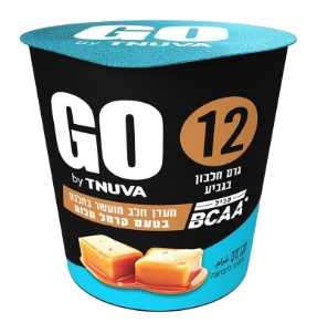 מעדן חלבון GO בטעם קרמל מלוח, 120 גרם