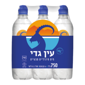 עין גדי 750 ספורט