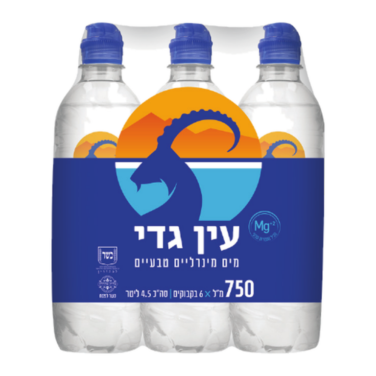 עין גדי 750 ספורט