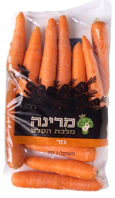 גזר
