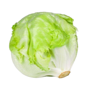 חסה