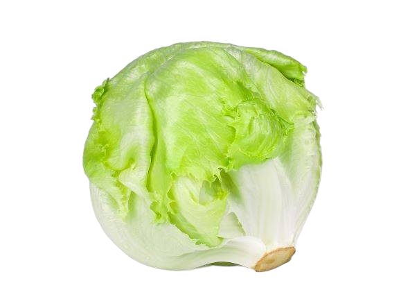 חסה