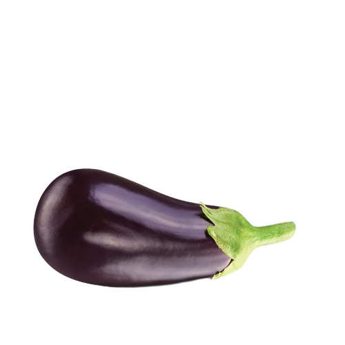 חציל