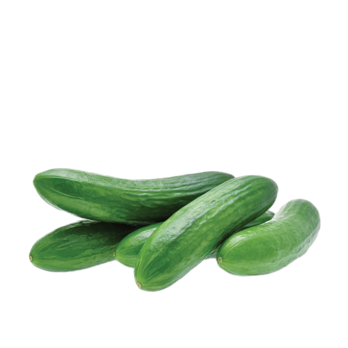 מלפפון