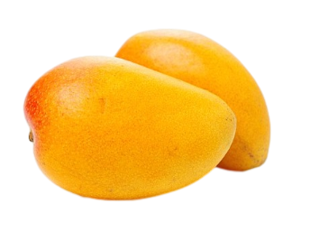 מנגו