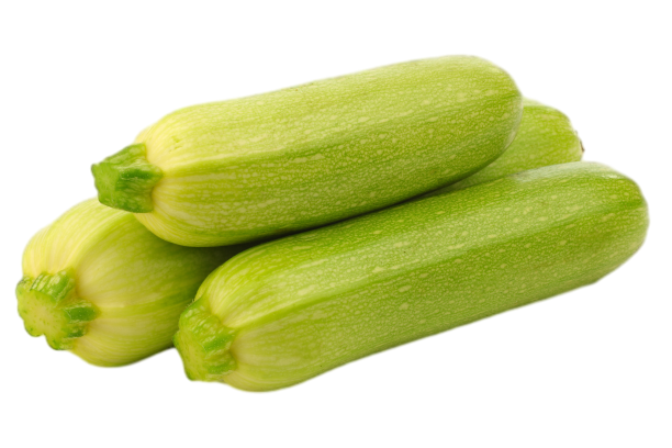 קישואים