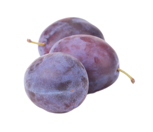 שזיפים טריים