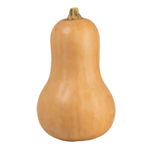 דלורית